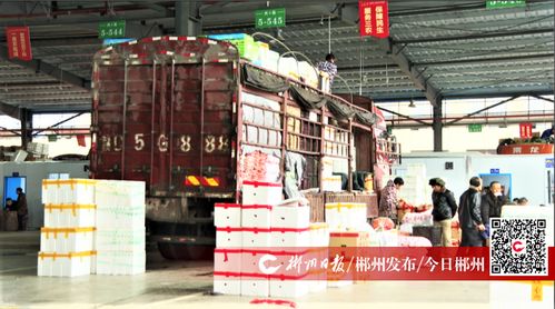 中国供销 郴州农副产品物流园生意火每天交易量达800吨 郴州新闻网