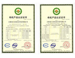 东北吉林特产 健康全程 无污染种植 有机黄豆300g 食品 买零食 粮油 特产 酒水饮料 进口食品