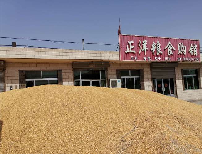 63.   粮食购销有正洋