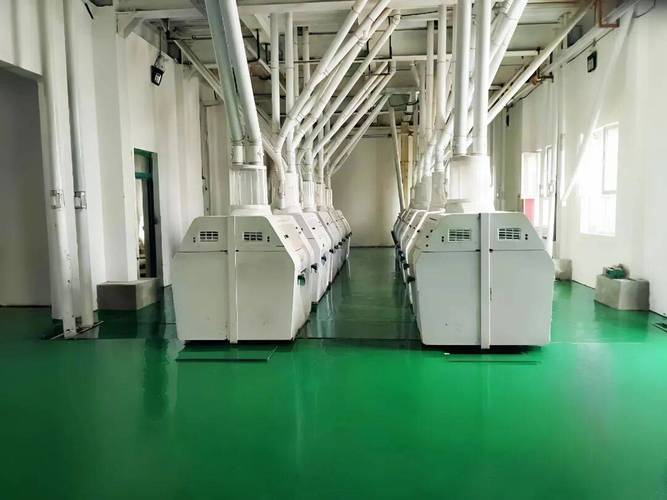 洛浦县爱丽雅粮油工贸有限责任公司