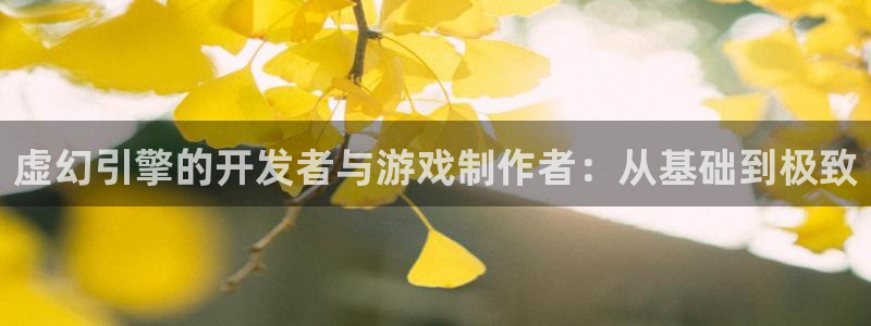 恒盛娱乐登陆：虚幻引擎的开发者与游戏制作者：从基础到极致