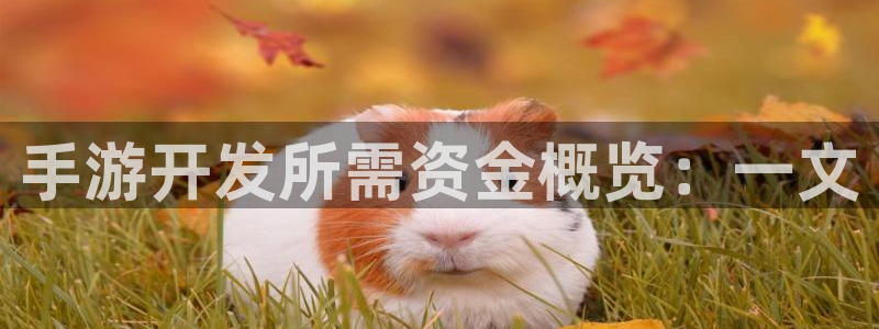 恒盛娱乐平台：手游开发所需资金概览：一文