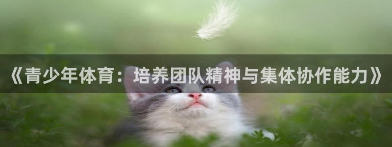 必威betway西汉姆联